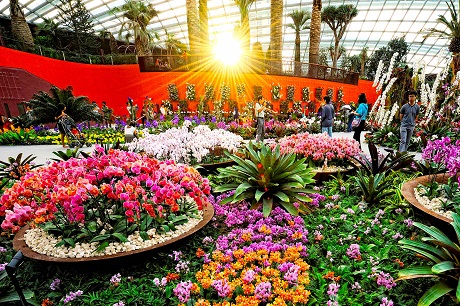 Flower Dome