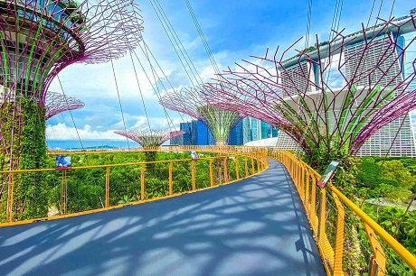 OCBC Skyway