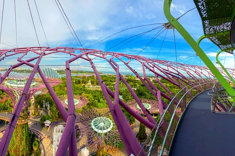 Supertree Observatory